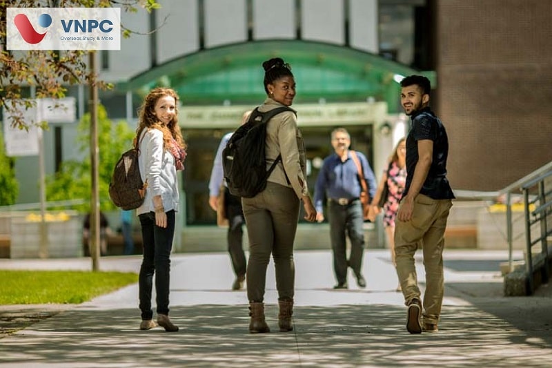 Lakehead University 